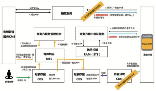 升级与变革,视频版权交易技术新生态