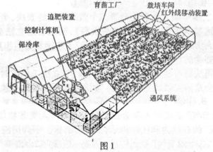 植物工厂是现代设施农业发展到高级阶段的产物,是一种高投入 高技术 精装备的工厂化农业系统 其设计和使... 无忧题库