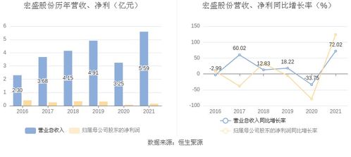 宏盛股份 2021年净利润同比增长124.16 拟10派3元